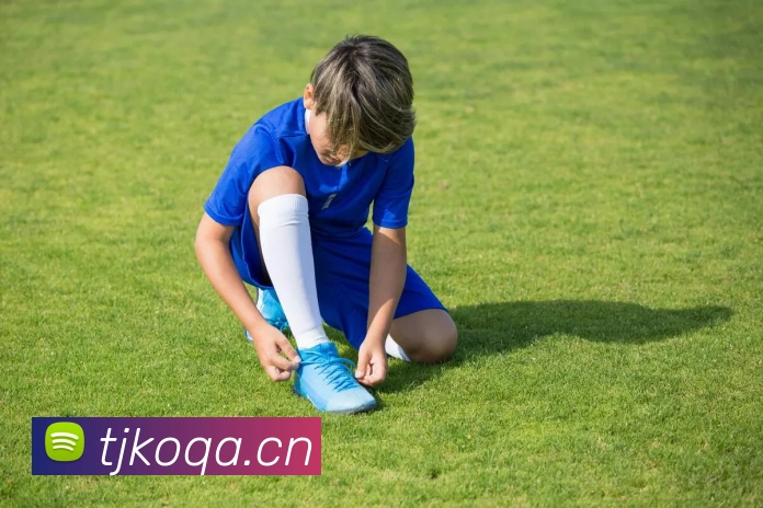 米兰app登陆入口服务体系